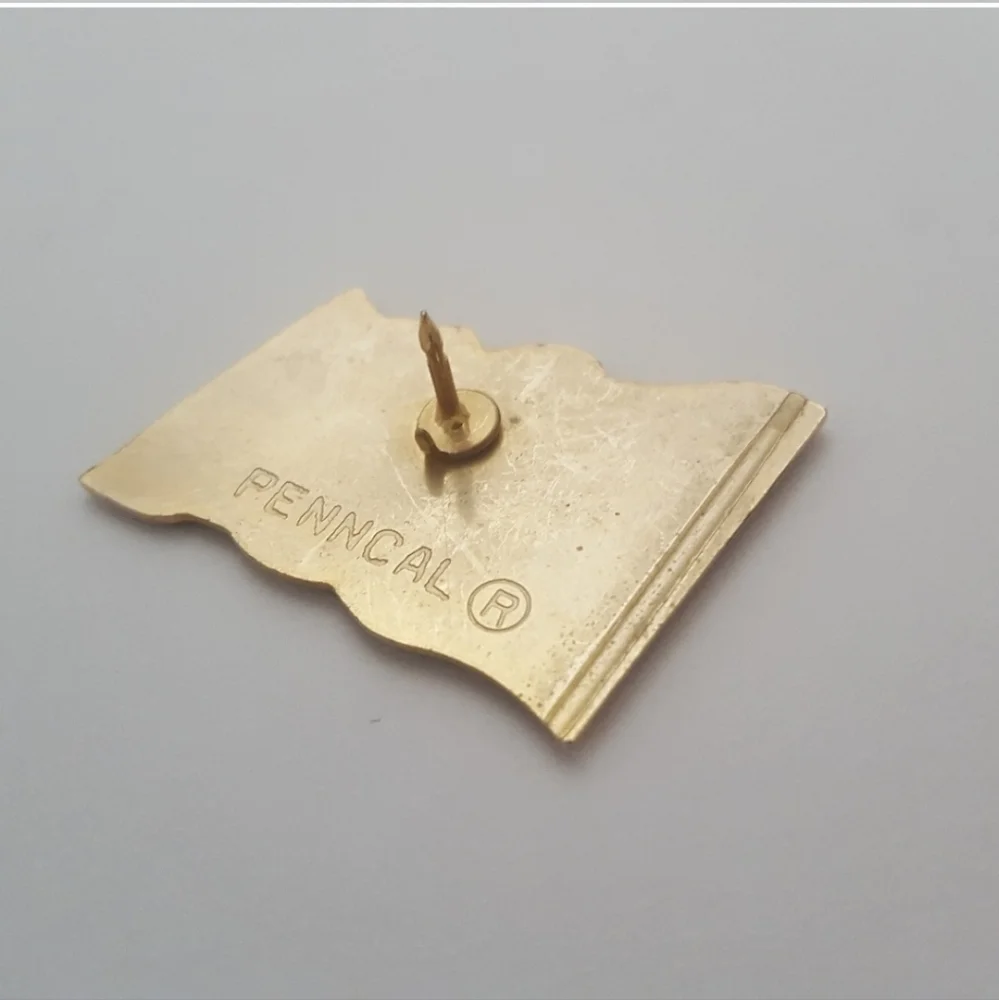 Patriotic pin 